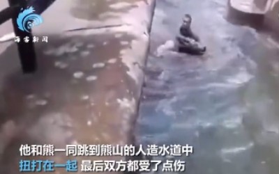 解封后波兰男子去动物园跟母熊打架 从地面打到水里
